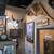 Moose head antiques  oddities unique items brown bear 11 thumbnail
