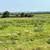 320± Acres Grass Pasture, Cropland, Ponds & More! 9 thumbnail