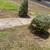 Shrubs 2 thumbnail