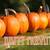 Your Cozy Fall Home Awaits at North Lakes Apartments! 🍁 2 thumbnail