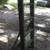 Heavy Equipment Trailer/ Tiny Home Trailer / Shipping Container 8 thumbnail