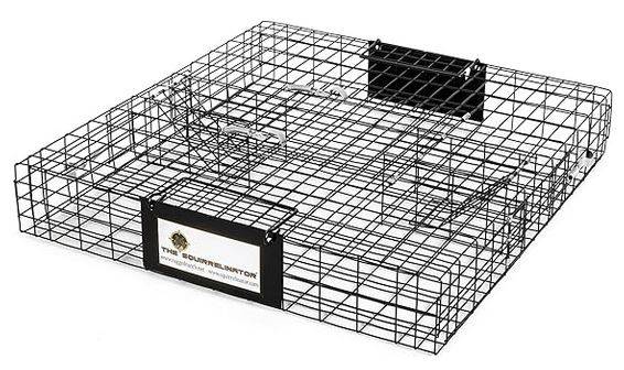 Squirrel Eliminator Trap 1