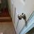 HANDYMAN SERVICES 2404869010 FLAT LOW RATES 18 thumbnail
