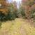 Cheap Land in Izard Co – $162 Down Special 2 thumbnail