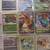 Pokémon card's 15 thumbnail