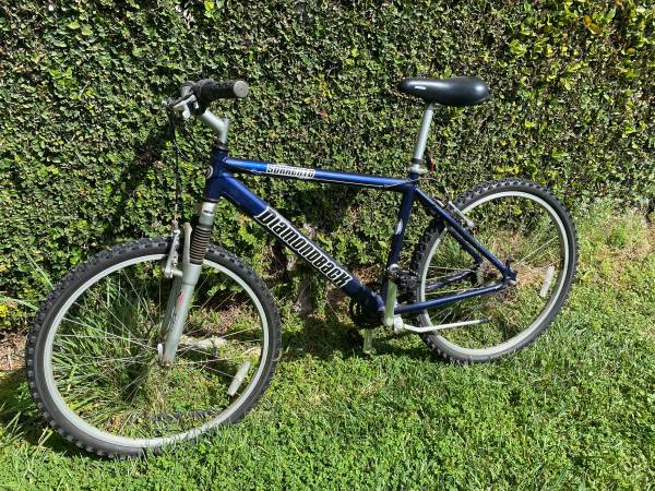 Diamondback Sorrento 1