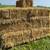 Straw 1 thumbnail
