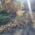 PROFESSIONAL FALL CLEAN UP 10 thumbnail