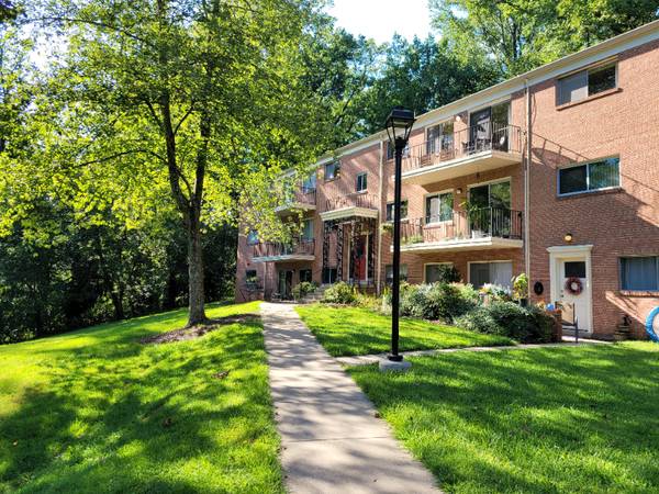 Charming 1BR Condo in Bethesda | 1BA | Available 11/1 |$1745 1