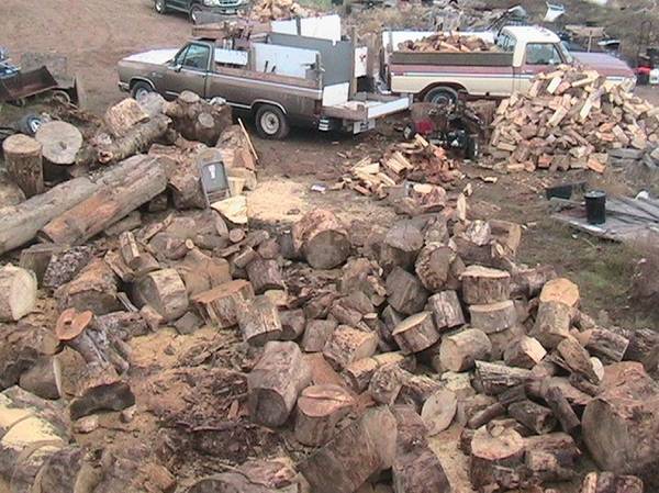 Firewood for sale 1
