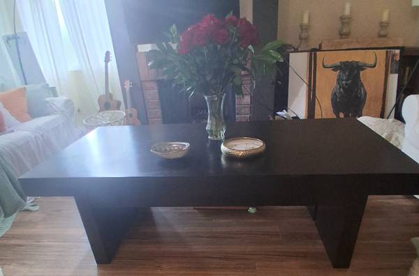 Mahogany Coffee Table 1