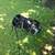 Youth golf bag 1 thumbnail