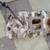 Intake Manifold 5 thumbnail