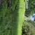 Mowing & lawn care Mechanicsburg PA surrounding area 8 thumbnail