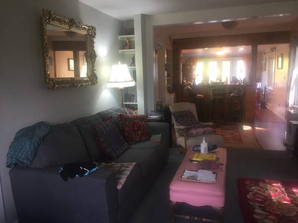 $700 / 1br - House for rent (Mt. Shasta)63972533081858123