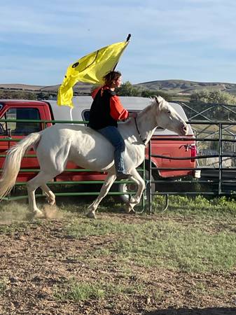 All Around Mare - $5,000 (Vale)63471410602625124