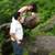 events and wedding video and photos 4 hours $750 18 thumbnail