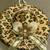 Adorable LEOPARD hat hanging Xmas ornament in sequins.  Brand New! 2 thumbnail