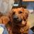 Meet Coco 1 thumbnail