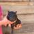 PIGLETS 1 thumbnail