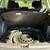 2018 Ford Escape 9 thumbnail