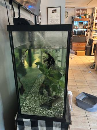 55 gallon aquarium (Milton)63836590835585121