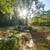 Arlington house main level. bike trails/Walk 2 restaurants/EFC Metro! 2 thumbnail