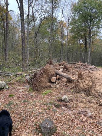 Free fire wood come cut yourself (Newfoundland)64141778142723122
