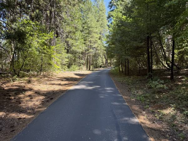 6.8 Usable Acres with a Cleared Home Site and Solar 1