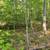 Leitchfield KY Land: 0.23 Acre Property Near Nolin Lake for $4999 5 thumbnail