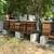 Beehives for Sale - Full Producing Hives 1 thumbnail