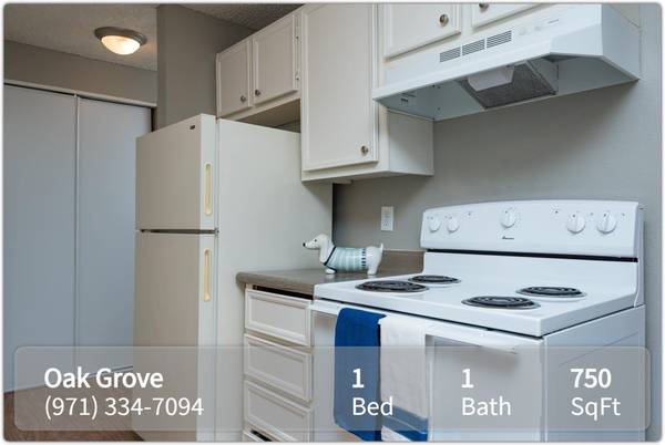 $1,365 / 1br - 750ft2 - A touch of modern living: WITH A SPECIAL DONT MISS OUT (Milwaukie)64039058624770123