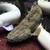 rare fish oddball bichir 3 thumbnail