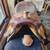 Teskey western saddle 3 thumbnail