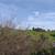 1 Bedroom 600 SF on large property, views of Hillside and City 20 thumbnail