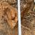 🌳 Large California Pepper Tree Burl Chunks – Exotic Wood for Turning & Furn 2 thumbnail