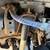 1998 Toyota Land Cruiser 6 thumbnail