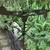 P-51 Mustang Weathervane. Sweet yard art. Mint 1 thumbnail