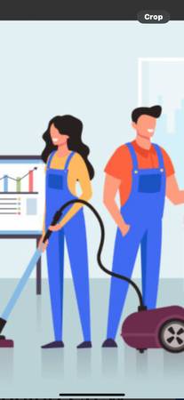 HOUSE CLEANING 1