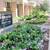 Studio in Dupont with Lots of Natural Lighting~ Tour Today~ 14 thumbnail