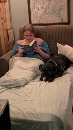 $25.00 / Night House Sitting - I’m more of an animal person 1