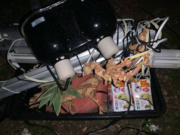 Reptile Enclosure Decor, Heating and lighting (Aurora)64145642823553121