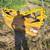 Woods 60 3pt Point brush mower 2 thumbnail