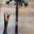 Winchester Crossbow 1 thumbnail