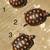 1 Peach Red Cherryhead Redfoot Tortoise Baby (Pick Up only) SMR SALE 4 thumbnail