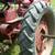 Farmall C with cultivator attachment 6 thumbnail