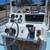 Center Console 9 thumbnail