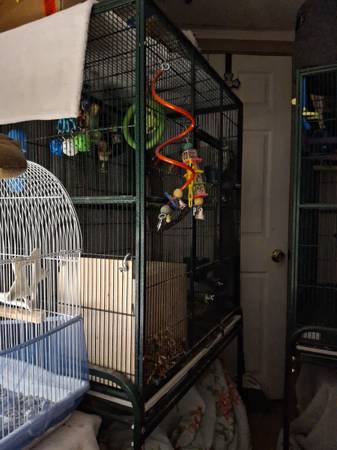 Wrought Iron Hammered Flight Cage (GREEN) (Rochester, NH)63843455223937121
