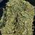 2025 Premium Horse Quality Hay (Alfalfa, Orchard-Mix, Pure Orchard 9 thumbnail