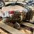 Coffing 1/2 ton chain hoist 3 thumbnail